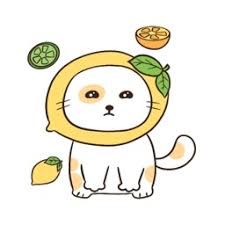 bintangstar77 Jackpot slot terbaik dunia Dogecoin dengan logo Shiba Inu naik lebih dari 100% Setelah tweet gambar bola sepak bola Mr